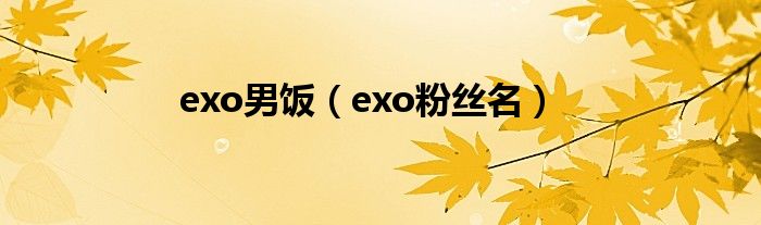 exo男饭(exo粉丝名)