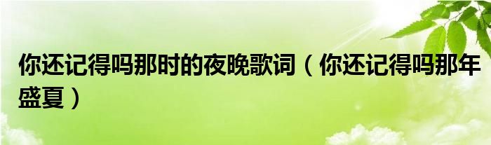 你还记得吗那时的夜晚歌词(你还记得吗那年盛夏)