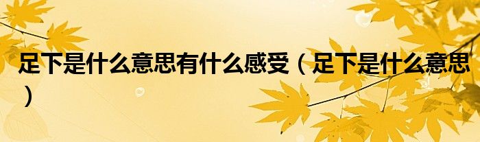 足下是什么意思有什么感受(足下是什么意思)