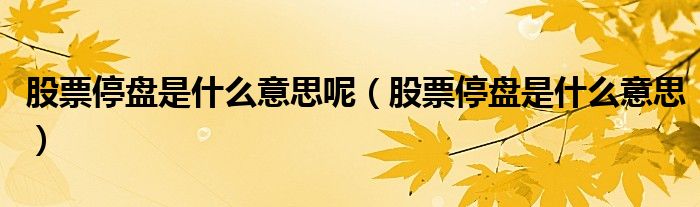 股票停盘是什么意思呢(股票停盘是什么意思)