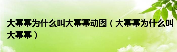大幂幂为什么叫大幂幂动图(大幂幂为什么叫大幂幂)