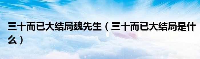 三十而已大结局魏先生(三十而已大结局是什么)