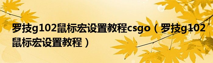 罗技g102鼠标宏设置教程csgo（罗技g102鼠标宏设置教程）