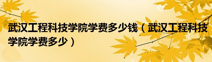武汉工程科技学院学费多少钱(武汉工程科技学院学费多少)