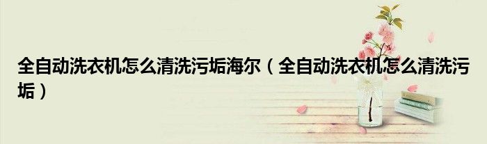 全自动洗衣机怎么清洗污垢海尔(全自动洗衣机怎么清洗污垢)