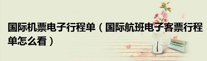 国际机票电子行程单(国际航班电子客票行程单怎么看)