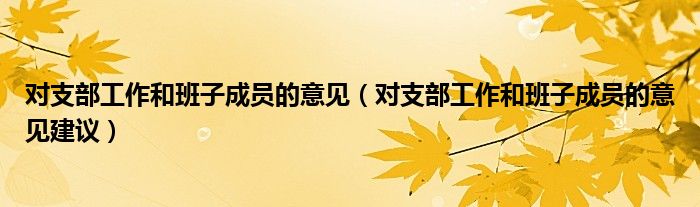 对支部工作和班子成员的意见(对支部工作和班子成员的意见建议)