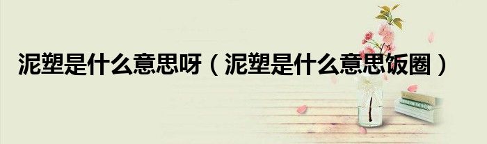 泥塑是什么意思呀(泥塑是什么意思饭圈)