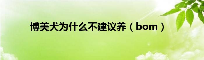 博美犬为什么不建议养(bom)