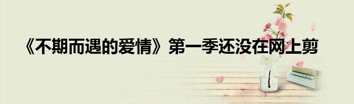 《不期而遇的爱情》第一季还没在网上剪