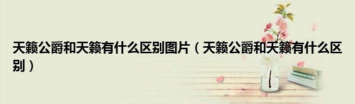 天籁公爵和天籁有什么区别图片（天籁公爵和天籁有什么区别）