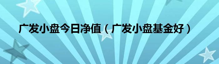 广发小盘今日净值(广发小盘基金好)