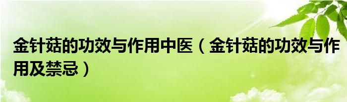 金针菇的功效与作用中医(金针菇的功效与作用及禁忌)