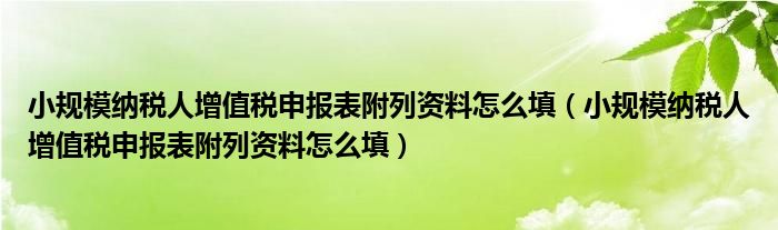 小规模纳税人增值税申报表附列资料怎么填(小规模纳税人增值税申报表附列资料怎么填)