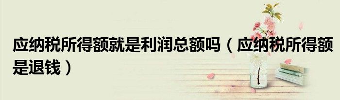 应纳税所得额就是利润总额吗(应纳税所得额是退钱)