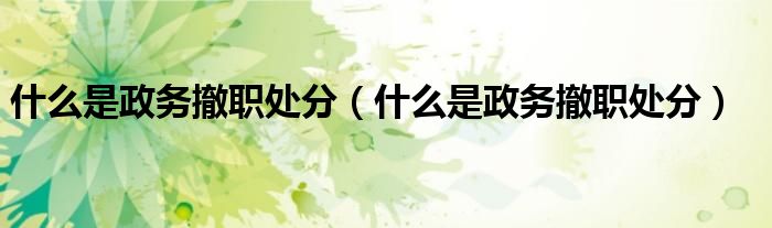 什么是政务撤职处分(什么是政务撤职处分)