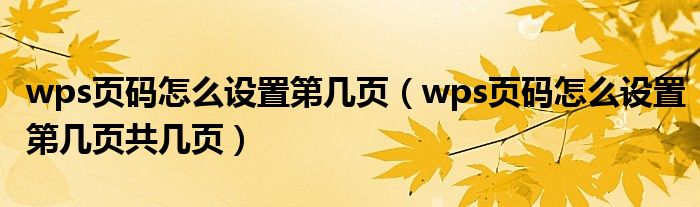 wps页码怎么设置第几页（wps页码怎么设置第几页共几页）
