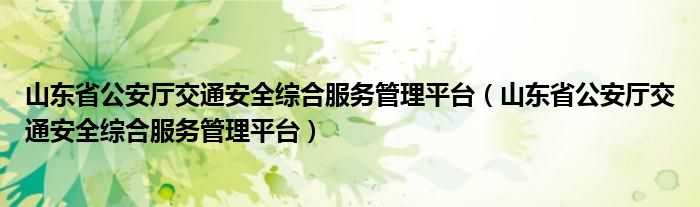 山东省公安厅交通安全综合服务管理平台（山东省公安厅交通安全综合服务管理平台）