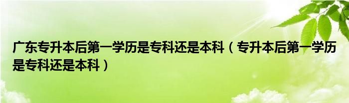 广东专升本后第一学历是专科还是本科(专升本后第一学历是专科还是本科)