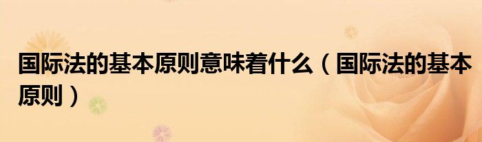 国际法的基本原则意味着什么(国际法的基本原则)