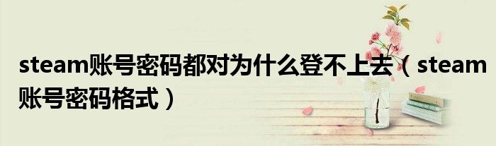 steam账号密码都对为什么登不上去(steam账号密码格式)