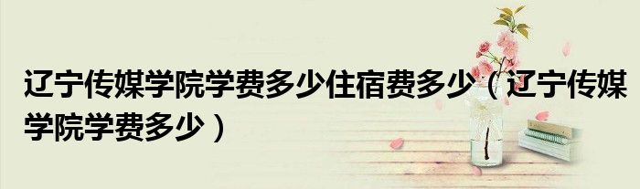 辽宁传媒学院学费多少住宿费多少(辽宁传媒学院学费多少)
