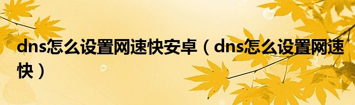 dns怎么设置网速快安卓(dns怎么设置网速快)
