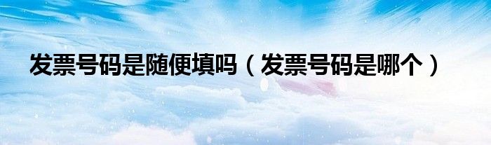 发票号码是随便填吗(发票号码是哪个)