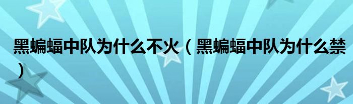 黑蝙蝠中队为什么不火(黑蝙蝠中队为什么禁)