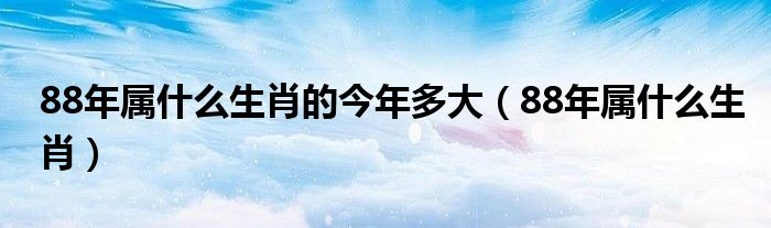 88年属什么生肖的今年多大(88年属什么生肖)