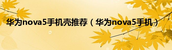 华为nova5手机壳推荐(华为nova5手机)