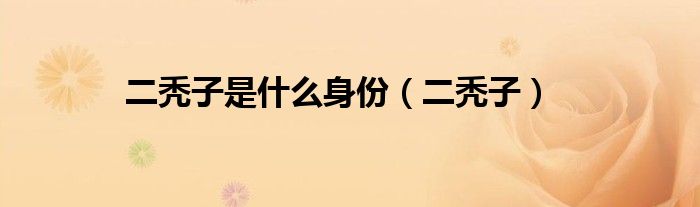 二秃子是什么身份(二秃子)