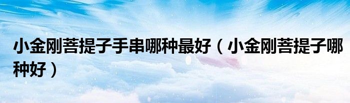 小金刚菩提子手串哪种最好(小金刚菩提子哪种好)