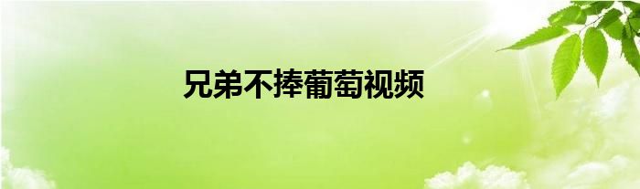 兄弟不捧葡萄视频