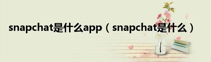 snapchat是什么app(snapchat是什么)
