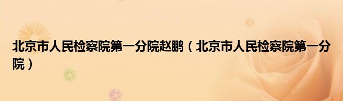 北京市人民检察院第一分院赵鹏(北京市人民检察院第一分院)