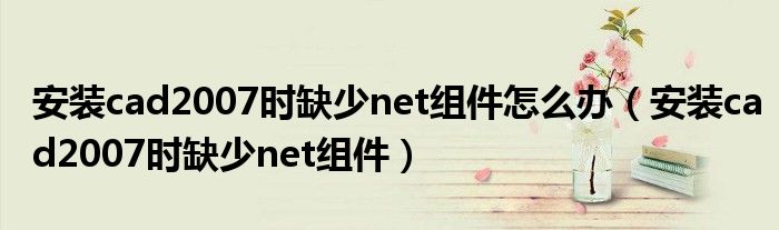 安装cad2007时缺少net组件怎么办(安装cad2007时缺少net组件)