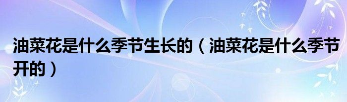 油菜花是什么季节生长的(油菜花是什么季节开的)