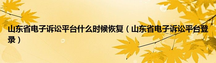 山东省电子诉讼平台什么时候恢复(山东省电子诉讼平台登录)