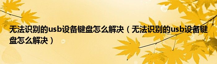 无法识别的usb设备键盘怎么解决(无法识别的usb设备键盘怎么解决)