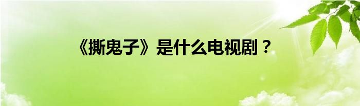 《撕鬼子》是什么电视剧？