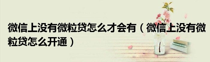 微信上没有微粒贷怎么才会有(微信上没有微粒贷怎么开通)