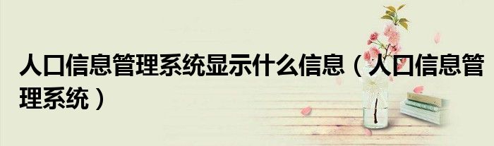 人口信息管理系统显示什么信息(人口信息管理系统)