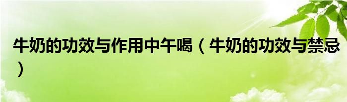 牛奶的功效与作用中午喝(牛奶的功效与禁忌)