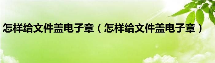 怎样给文件盖电子章(怎样给文件盖电子章)