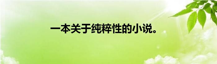 一本关于纯粹性的小说。