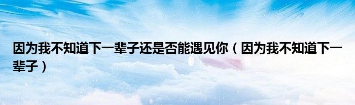 因为我不知道下一辈子还是否能遇见你(因为我不知道下一辈子)