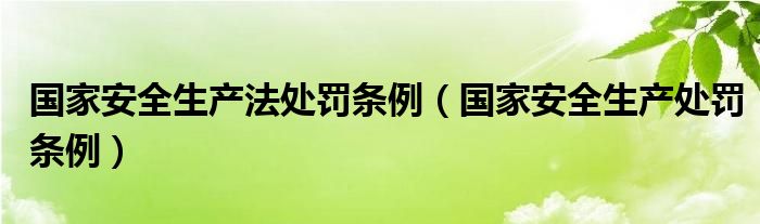 国家安全生产法处罚条例(国家安全生产处罚条例)