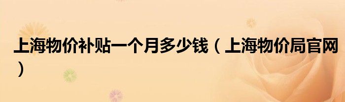 上海物价补贴一个月多少钱(上海物价局官网)
