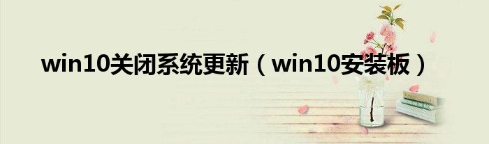 win10关闭系统更新(win10安装板)
